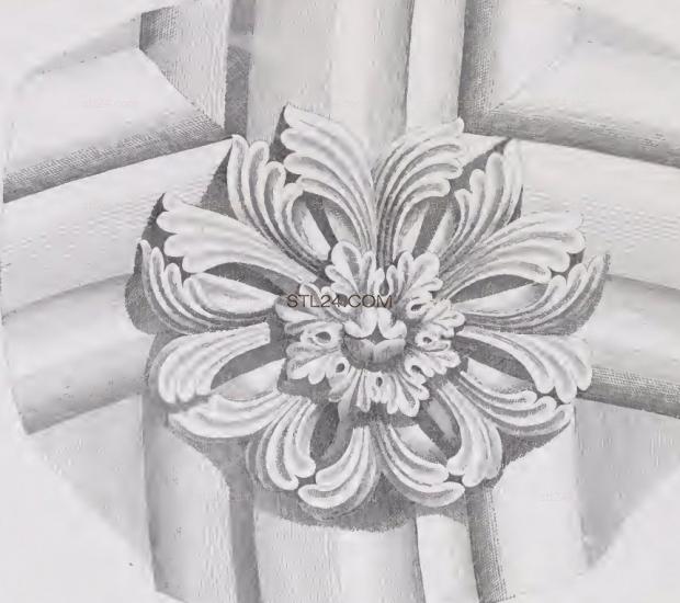 ROSETTE_2117
